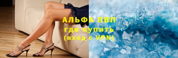 шишки Аркадак