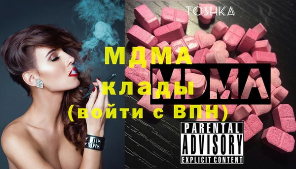 шишки Аркадак