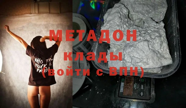 шишки Аркадак