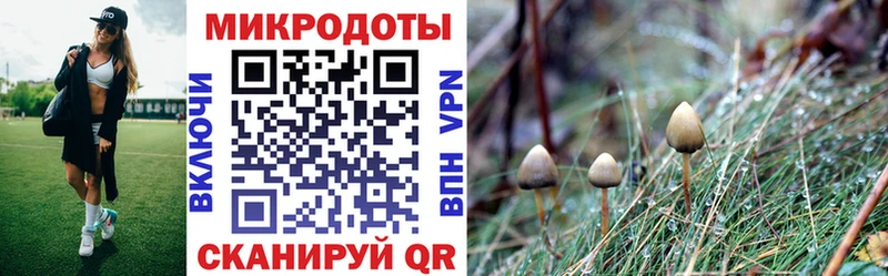 Галлюциногенные грибы Cubensis  купить  сайты  Нарткала 